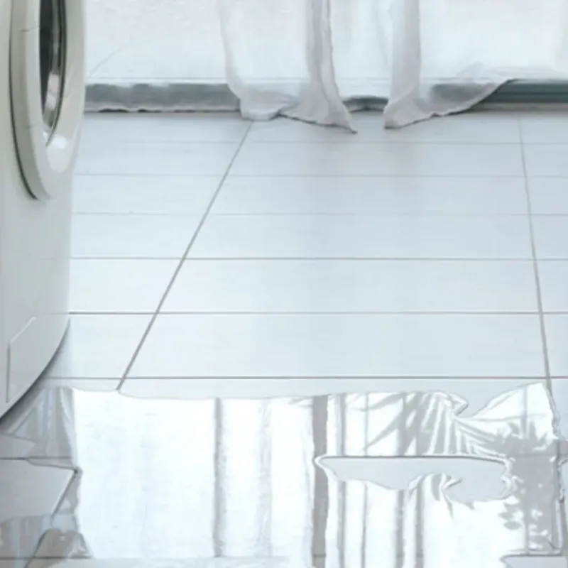 Appliance Leak Cleanup in Hutchinson, MN