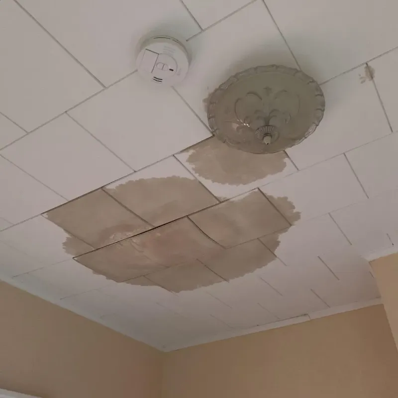 Ceiling Water Damage Repair in Hutchinson, MN